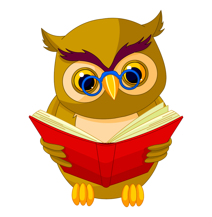 summer reading owl